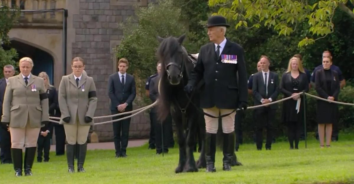 Queens beloved pony watches funeral march through Windsor Castle grounds with head groom Terry Pendry
