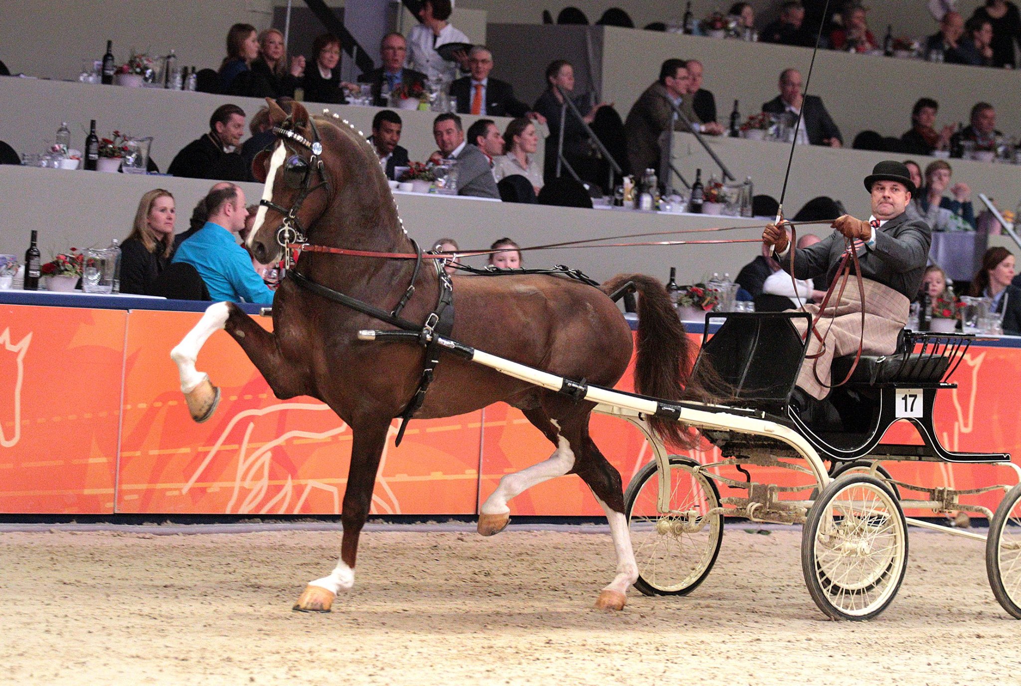 Dutch Harness Horses to be featured in Valkenswaard - DVI - Driving  Valkenswaard International