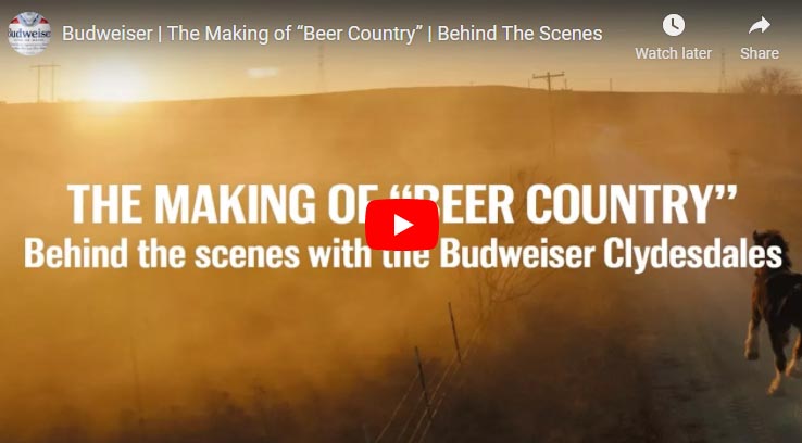 The Making of Beer Country - Behind The Scenes - Budweiser Clydesdales