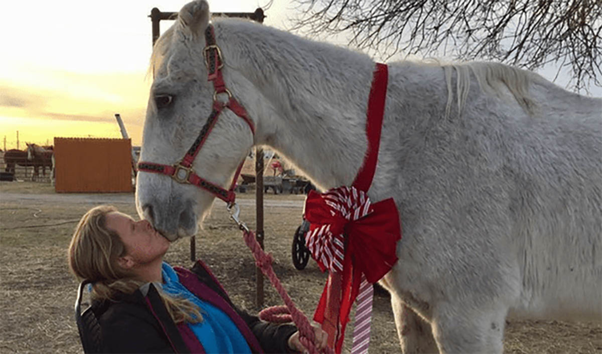 The Most Determined Horse Saves Himself From Slaughter