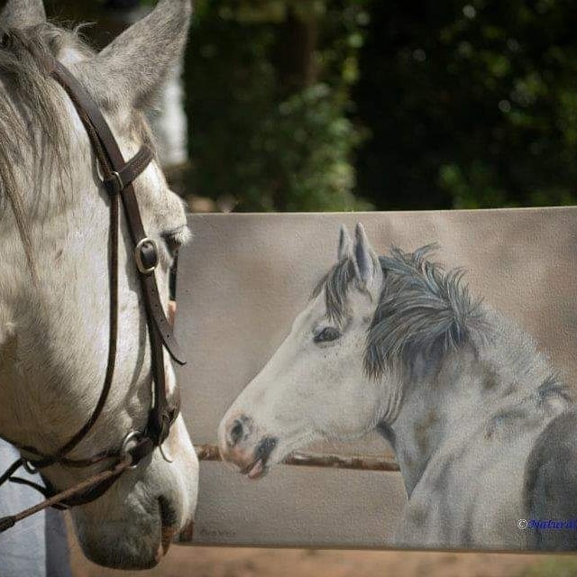 The Trotting Trestle | Equine Art By Clea Witte