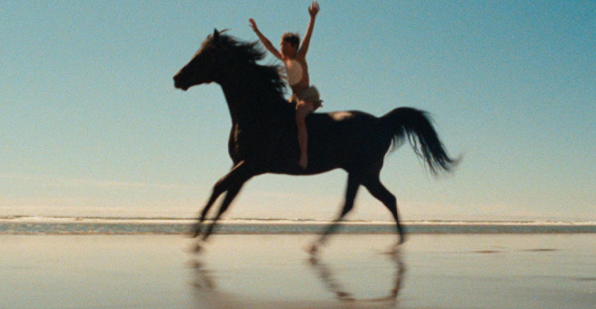 Emotional Last Scene From The Black Stallion