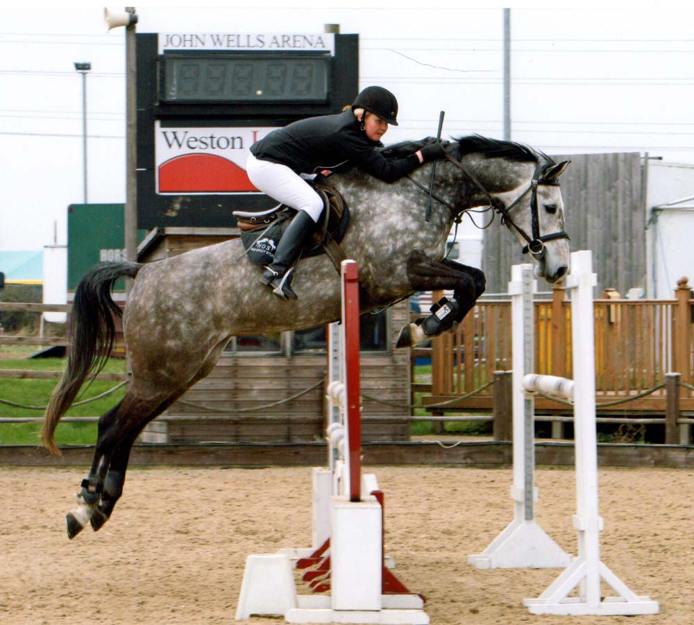 Performance Horse :- Arturo 8 x Laranee