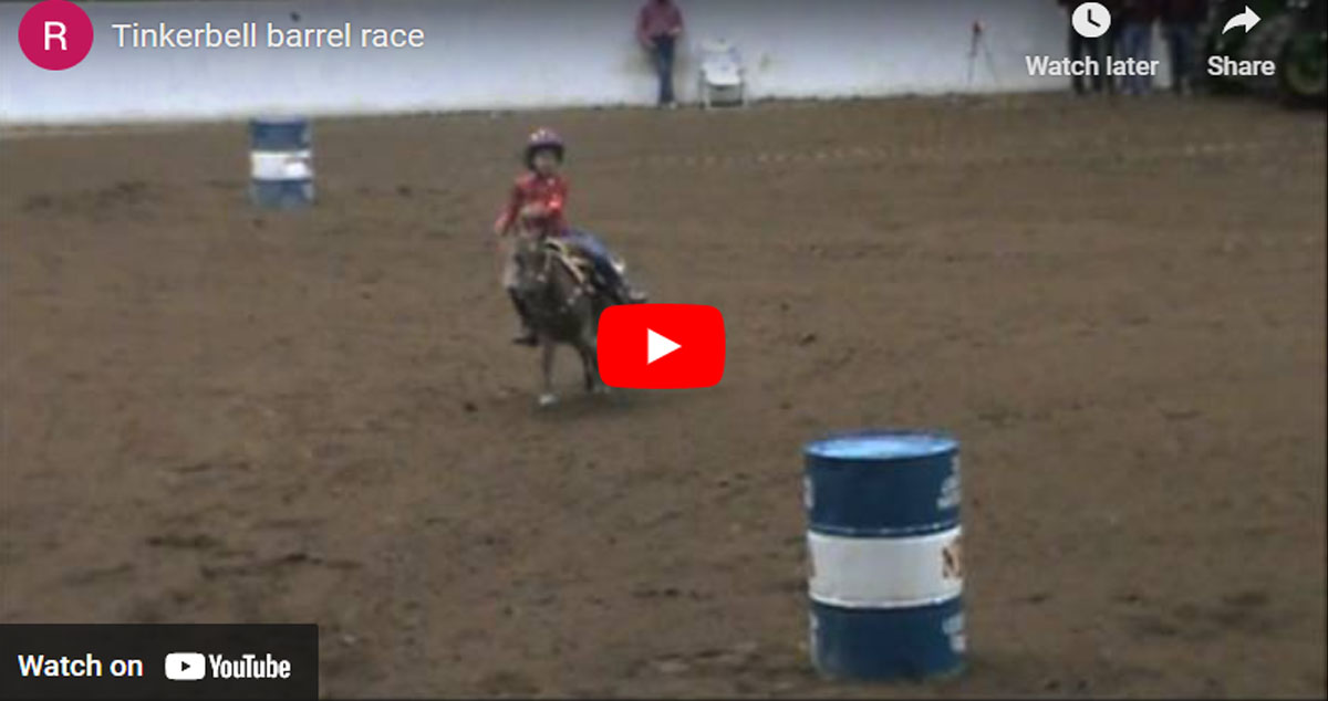Tinkerbell - The Barrel Racing Pony