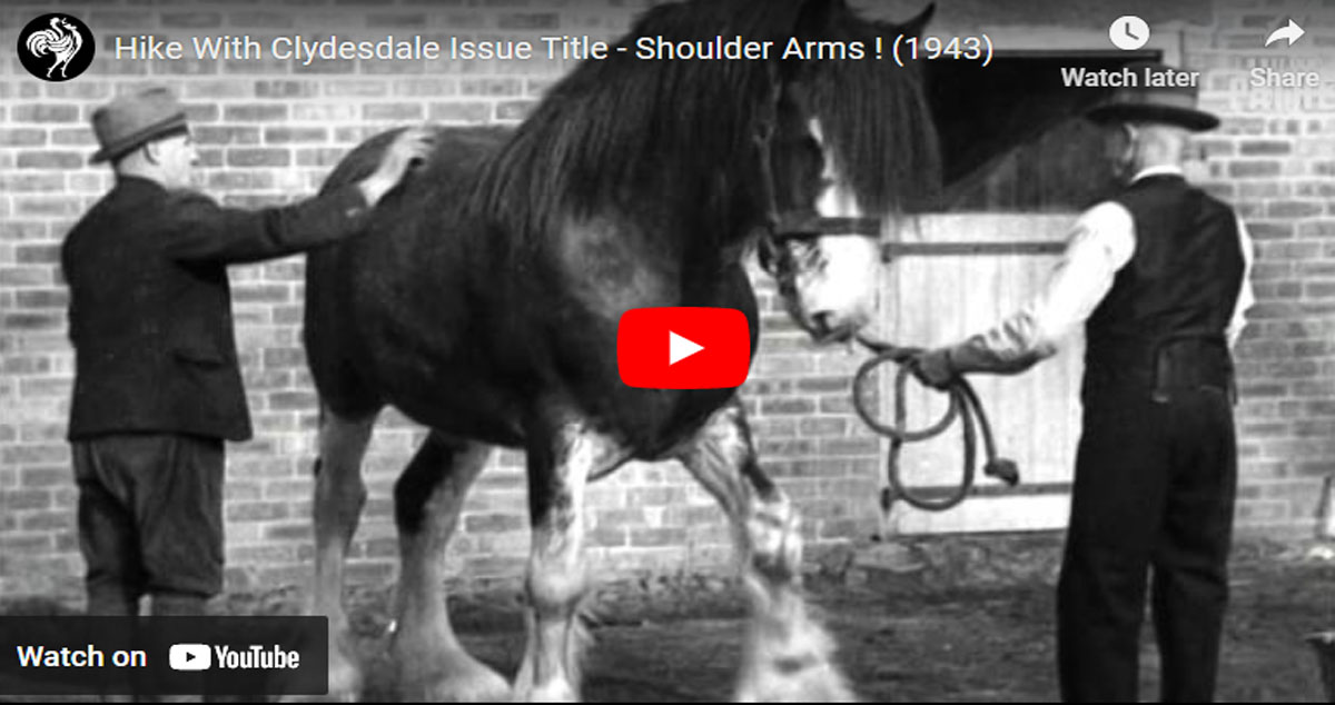 84 Year Old Man Does 1000 Mile Hike With His Clydesdale Horse