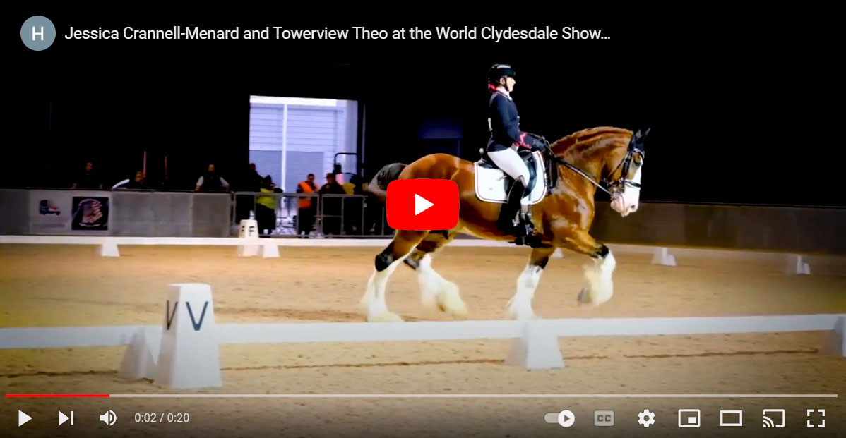 Jessica Crannell-Menard and Towerview Theo at the World Clydesdale Show, 2022