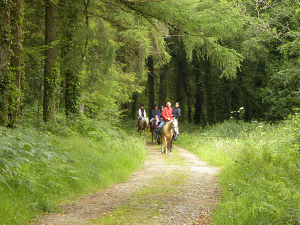 Trail Riding