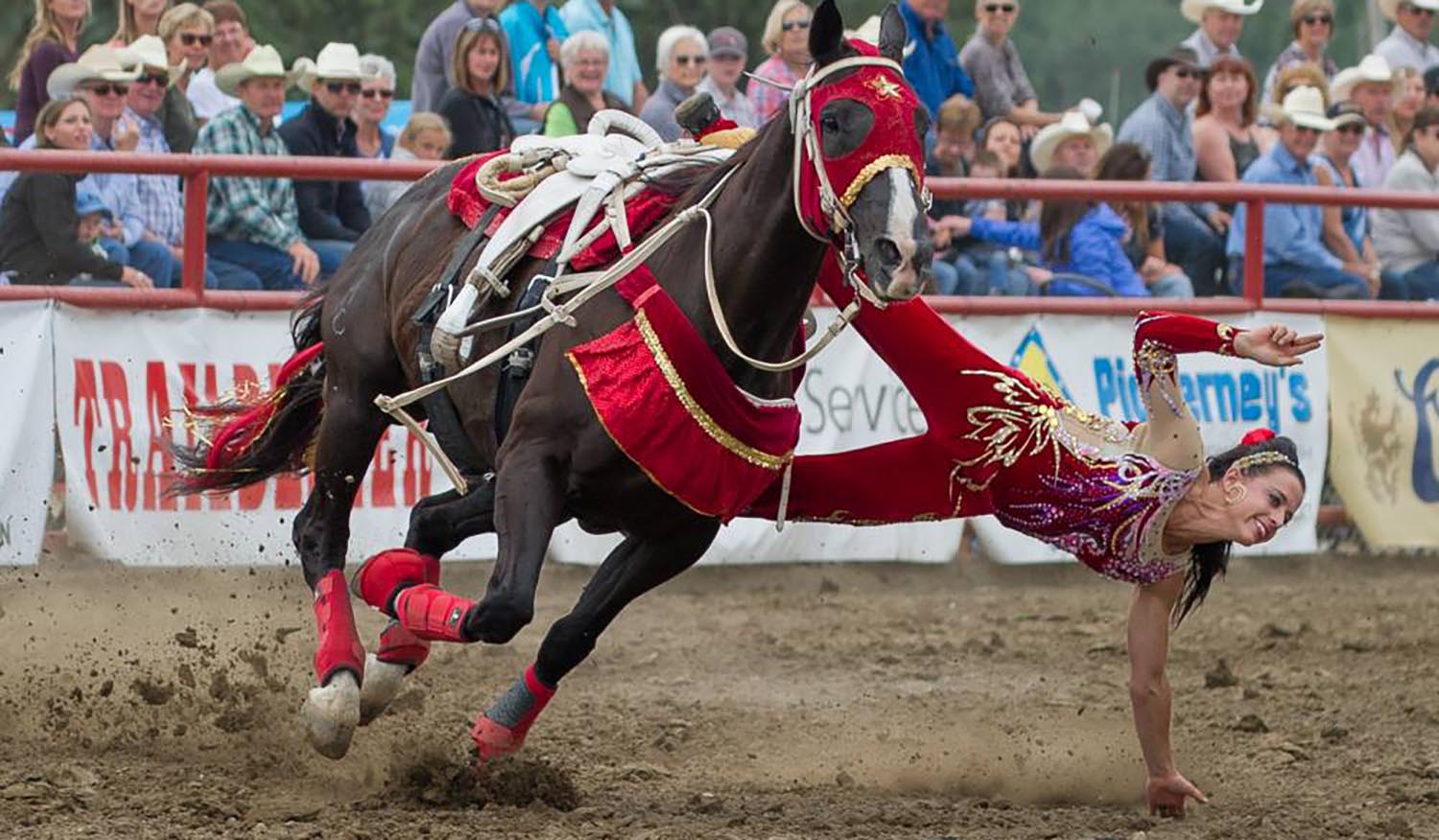 Trick Riding at the Ponoka Stampede