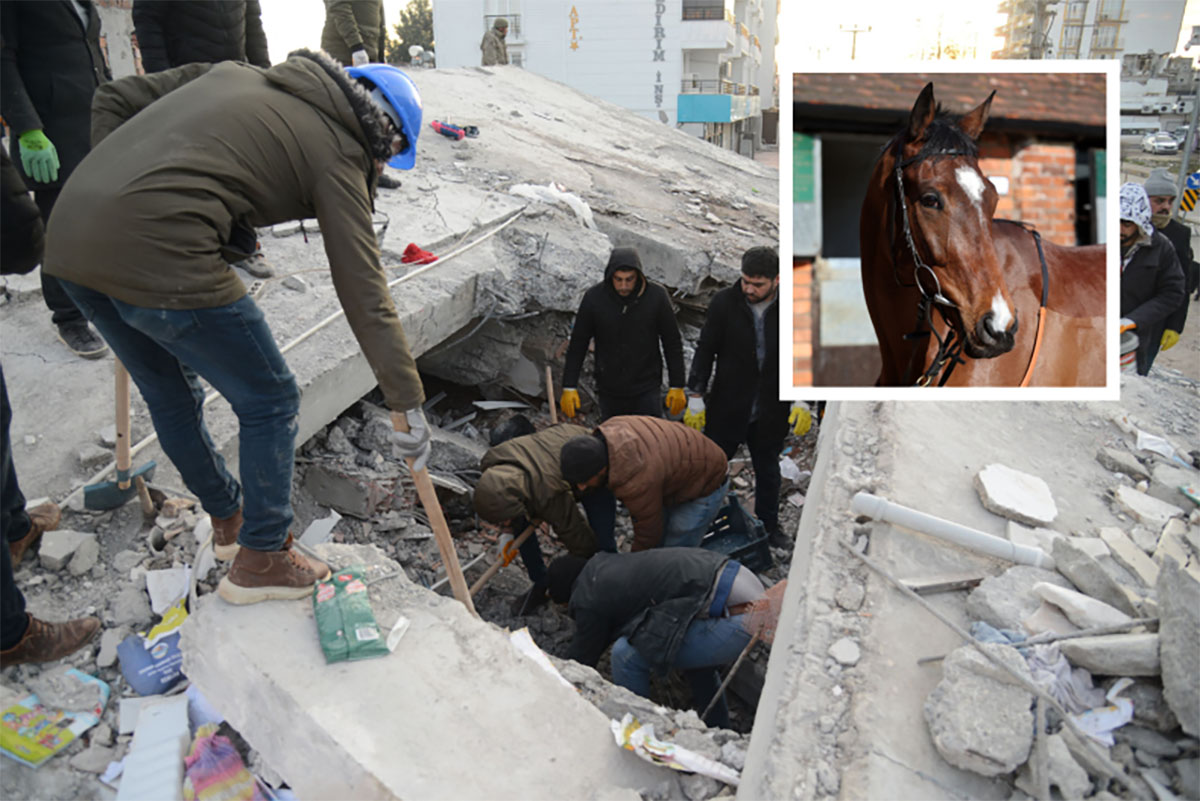 Incredible Moment Horse Rescued ALIVE After 21 Days Under Turkey Earthquake Rubble