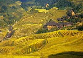 URGANE