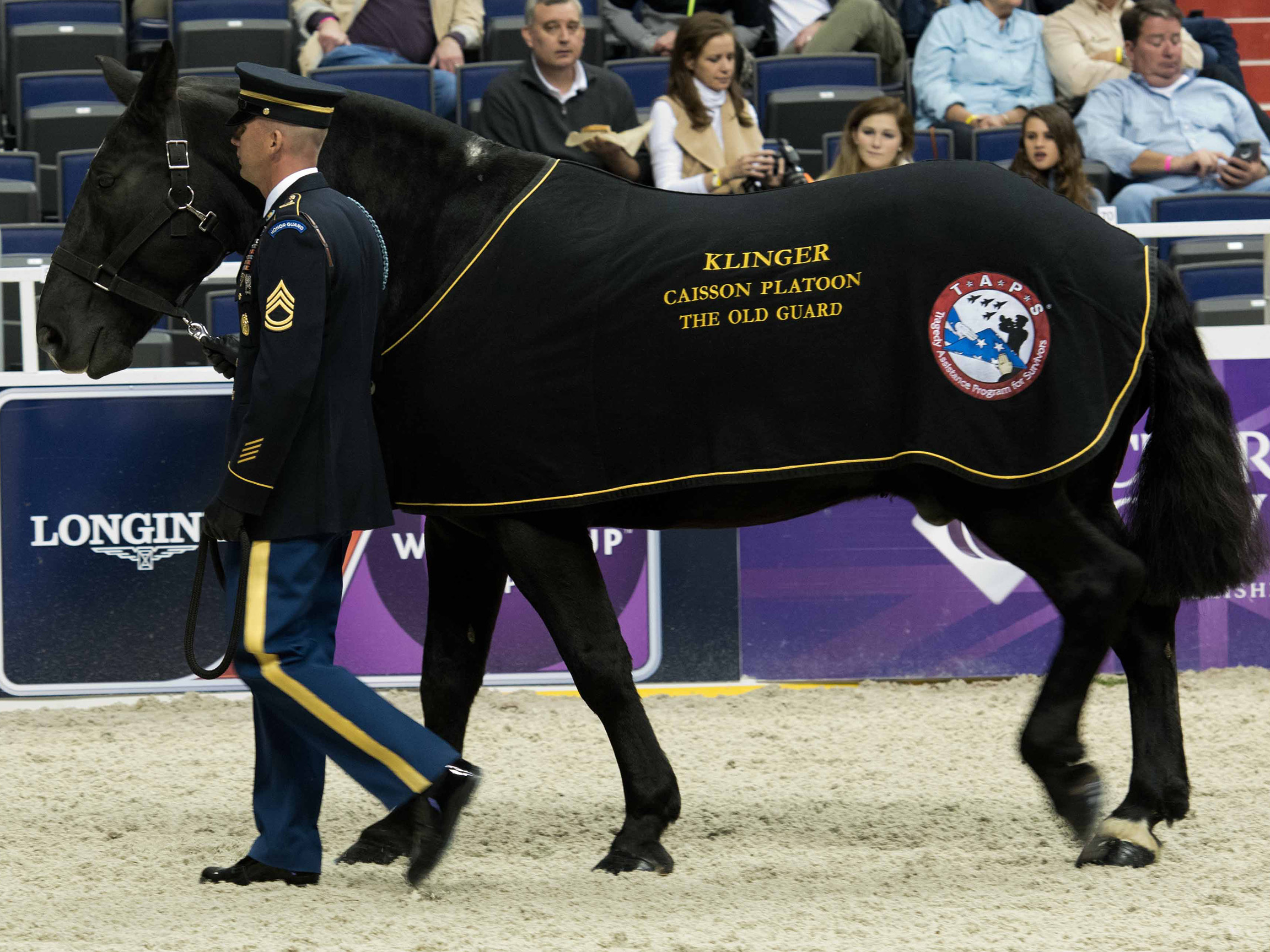 A Loving Home For Retiring Military Veteran Horses After They Have Served