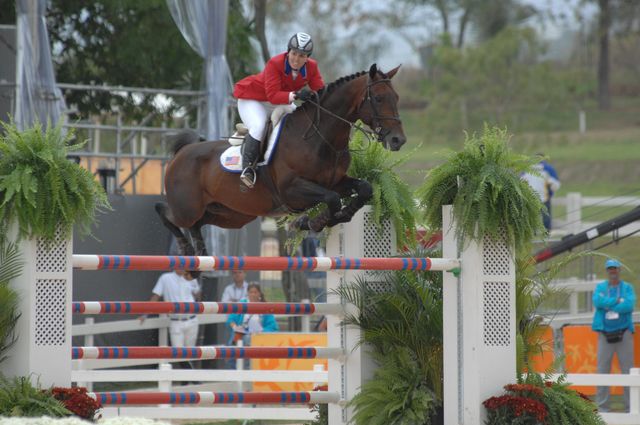 Ublesco - Showjumping Stallion