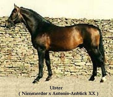 Ulster