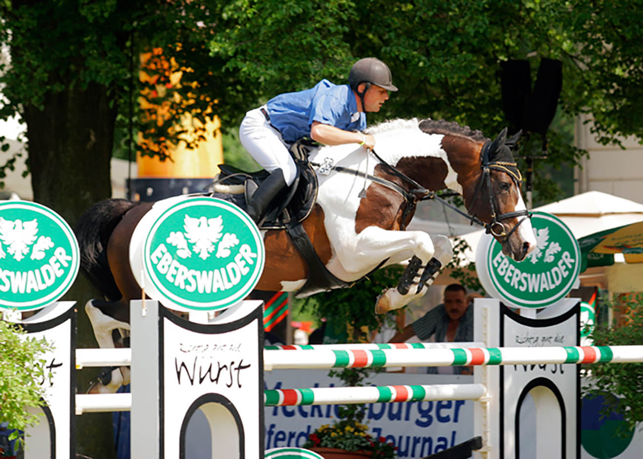 Universums Knock-Out (Nekoma X Le Champion) - Coloured Sport Horse