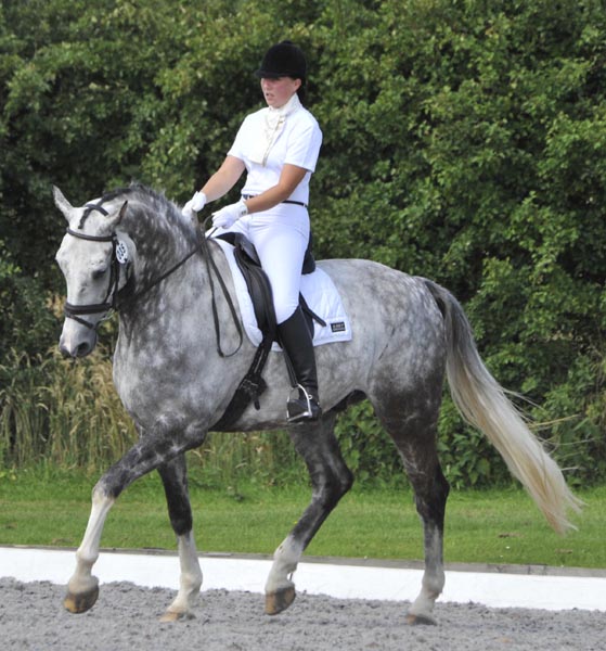 Dressage Rider Samantha Morrison riding Ushi II