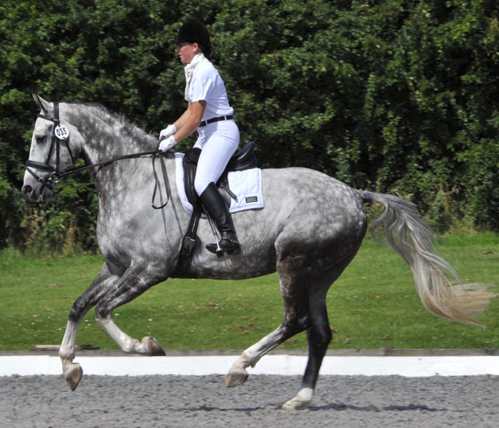 Dressage Horse & Rider - Samantha Morrison & Ushi II