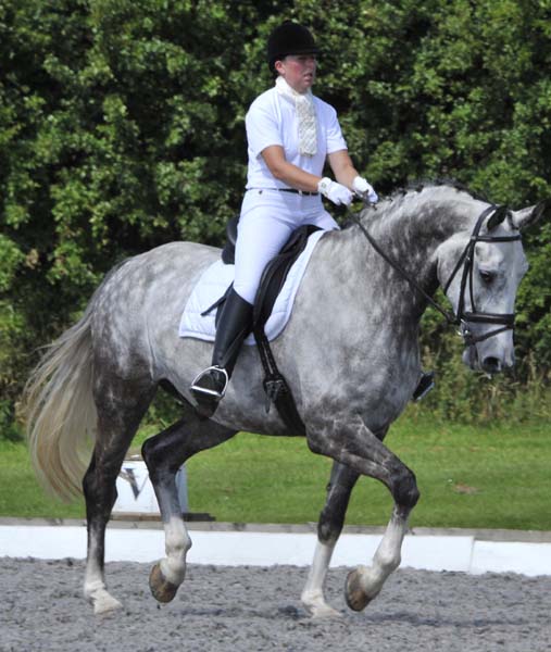 Dressage - Sam Morrison & Ushi II