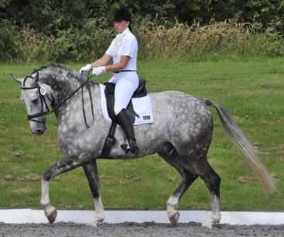 Dressage Rider Samantha Morrison