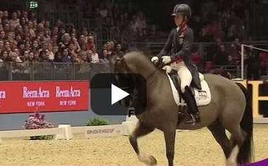 Valegro Dream Horse