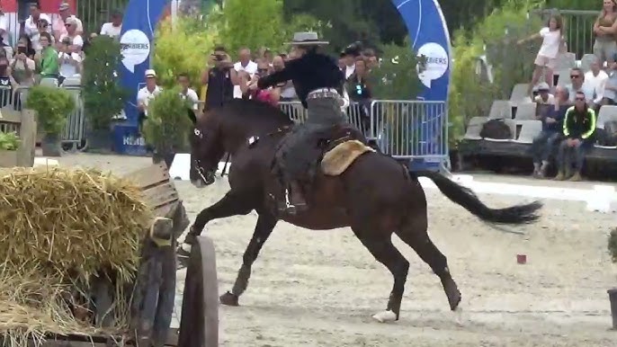 Portuguese National Championship Working Equitation Speed Trail Vasco Mira Godinho and Trigo