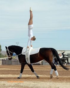 Horse Vaulting