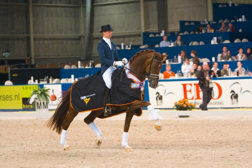 Vivaldi - Dressage Stallion