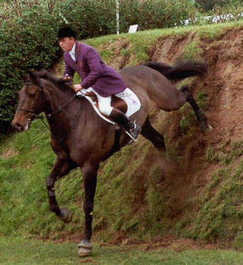 Welham - Showjumper