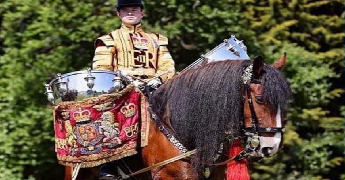 Welsh shire horse at forefront of Queens funeral procession