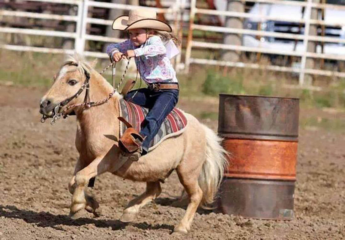 Superior Western Horses - Troy Jones, Texas