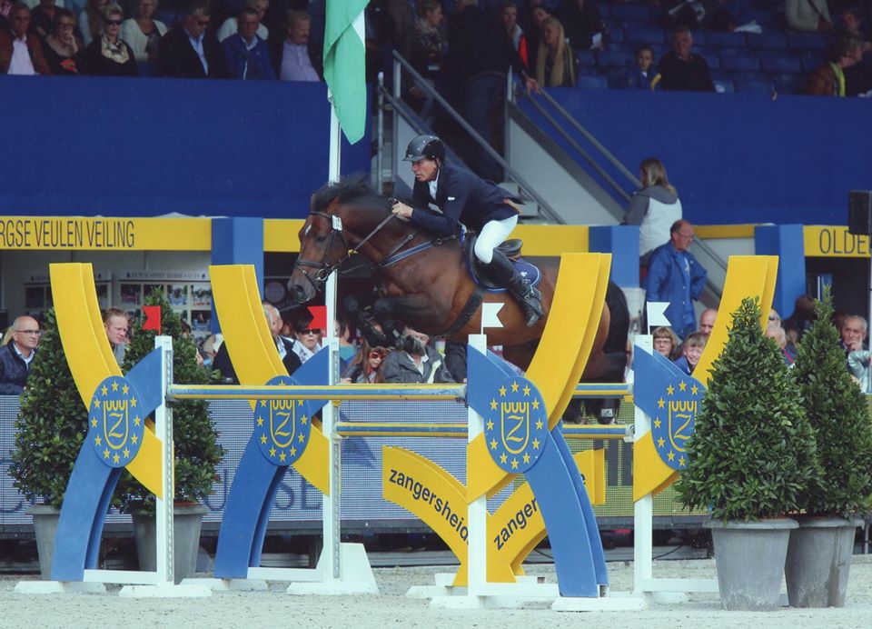 Whisper In The Wind - Showjumping Stallion