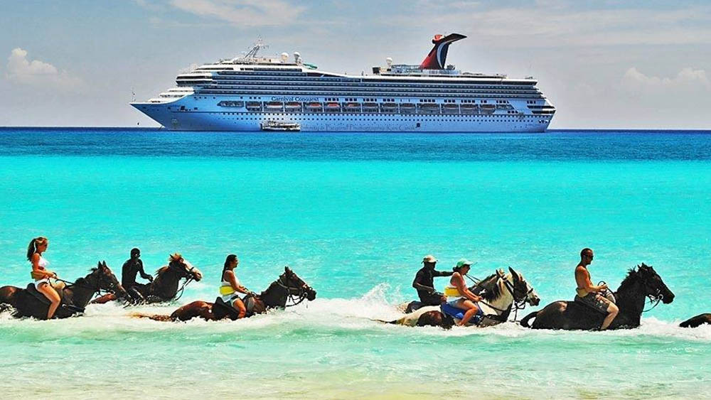 Swimming Horses of Grand Cayman