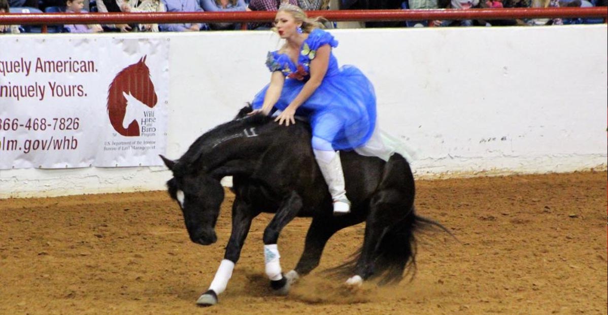 Wild Mustang Becomes Cinderella Prince Charming