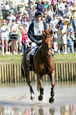 Event horse Navigator & William Fox Pitt