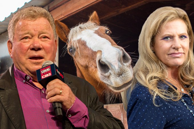 William Shatner Horses