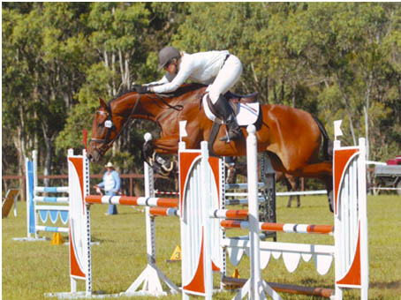 William Fox Pitt - Bayard