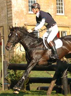 Eventing Stallion - All That Jazz & William Fox Pitt