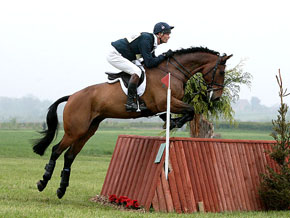 William Fox Pitt & Gaucho