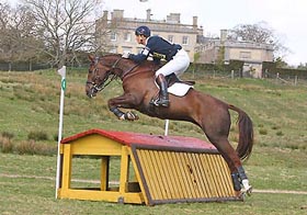 Eventer William Fox Pitt - Lady Voltaire