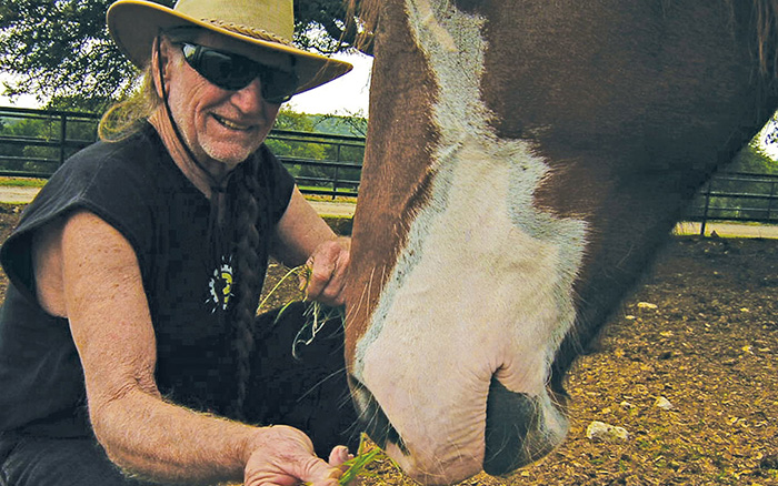 Willie Nelson Horse Ranch