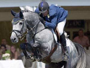 Winningmood Stallion Ludo Philippaerts