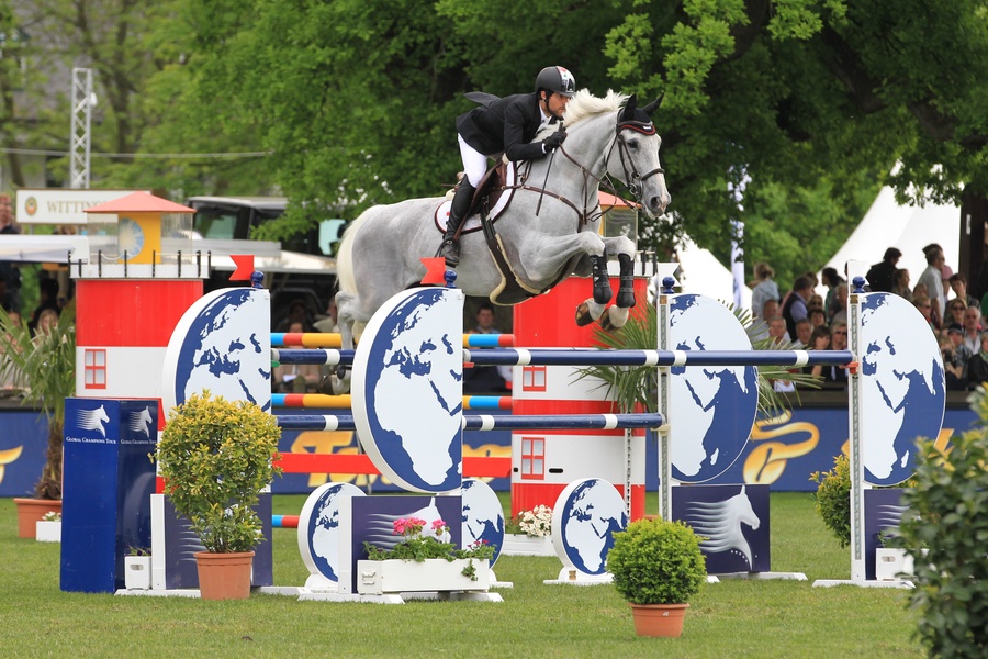 Wonderboy - Showjumping Horse