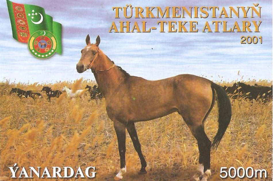 Yanardag - Akhal-Teke Stallion, The World Champion of the Akhal-Teke Breed 1999