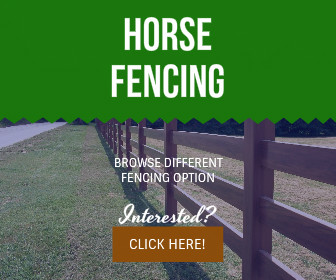 Electric Fencing For Horses