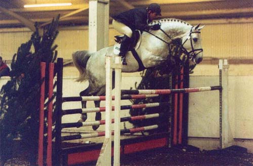 Arturo 8 Southview Equestrian Center