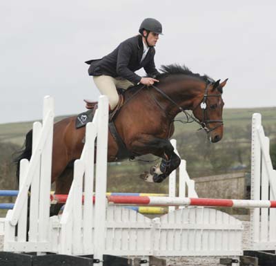 Showjumping Stallion Arturo 9