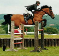 Showjumper Derek Morto & Barry Bug