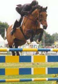 Showjumper Geoff Glazzard & Barry Bug