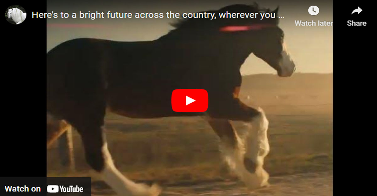 Here`s to a bright future across the country, wherever you are @Anheuser-Busch