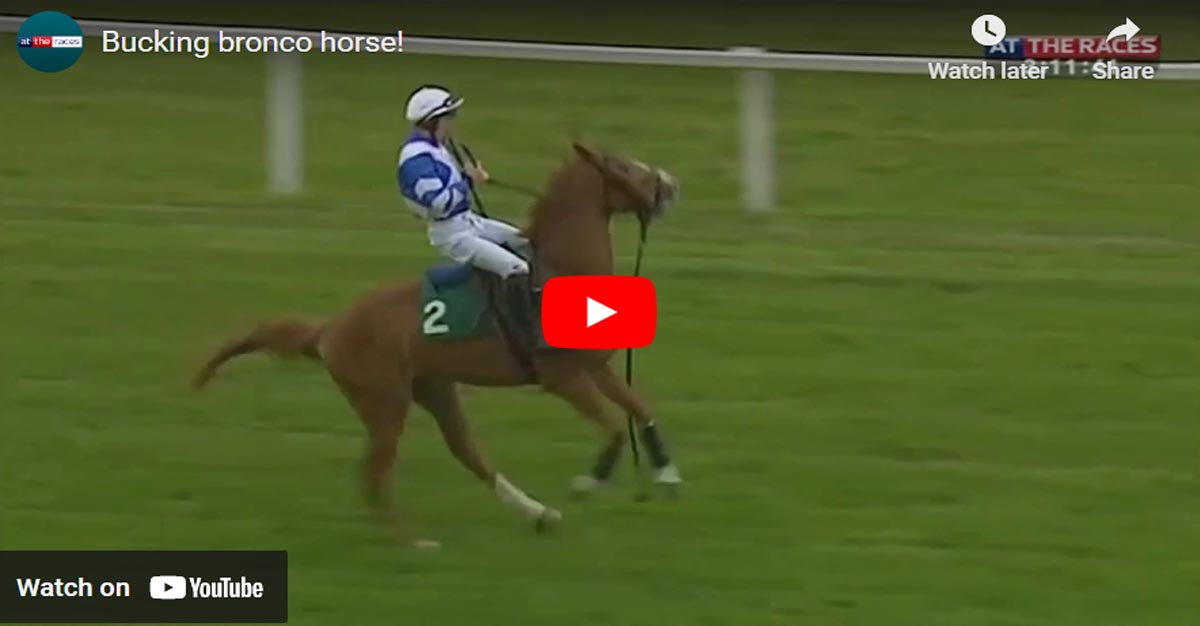 Jockey Shows Brilliant Piece Of Horsemanship While Riding Bucking Bronco Race Horse
