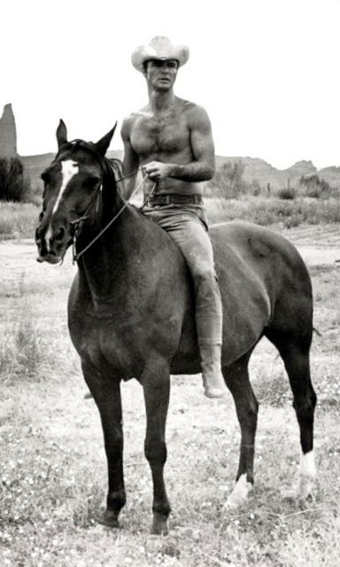 Burt Reynolds - Horses